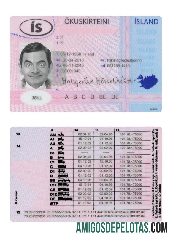 Carta de condução da Islândia 2013 presente exemplo